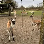 Billund Farm Holiday