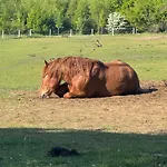 Billund Farm Holiday