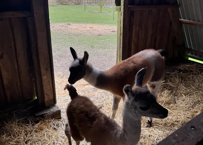 Billund Farm Holiday